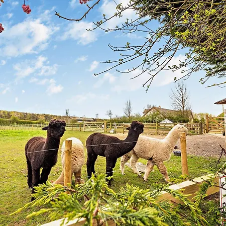 2 Bed In Maryport Oc-94787 Nyaraló *